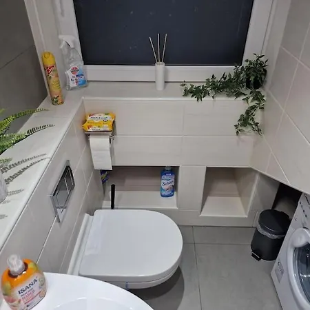 Apartment 1,5 In Ruhiger Lage Stadtnah Neu In